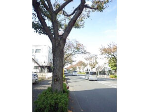 街路への建築限界進入