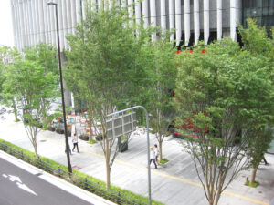 グランフロント大阪
