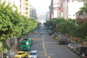 台北の街路樹