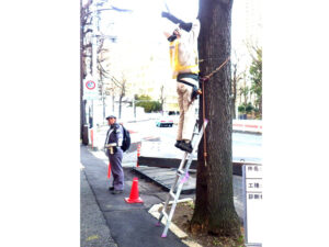 高所作業の様子