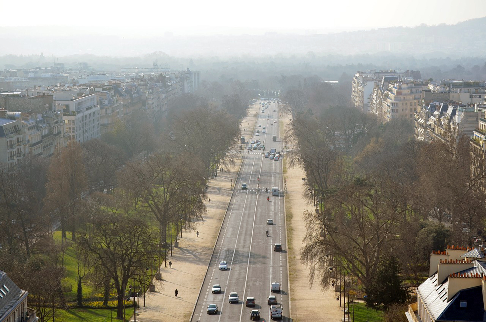 フランスの街路樹