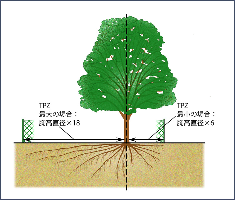 TPZのイメージ図