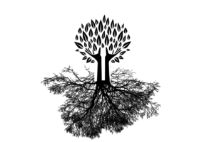 tree, hands, root-2972896.jpg