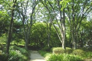 日比谷公園(東京都千代田区)