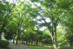 清澄公園(東京都江東区)