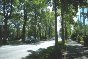 外堀通り(東京都新宿区)