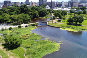水前寺江津湖公園(熊本市) 水前寺江津湖公園