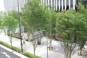 グランフロント大阪(大阪府大阪市) グランフロント大阪