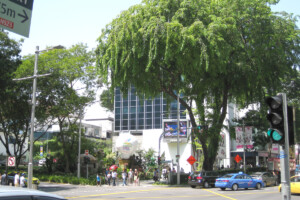 オーチャードストリート(シンガポール) オーチャード通り