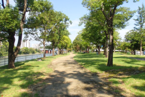 白川緑の区間(熊本県熊本市) 白川緑の区間