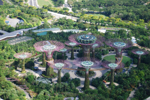 シンガポール シンガポールのアーバンフォレスト