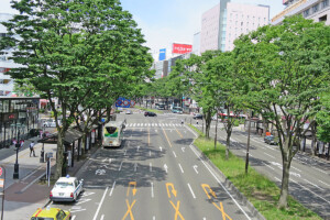 青葉通(宮城県仙台市)