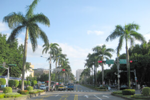 台北市内街路樹(台北市)