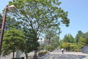 勾当台通(宮城県仙台市)