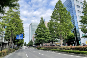 広瀬通イチョウ並木(宮城県仙台市)