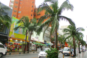 国際通り(沖縄県那覇市)