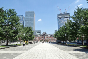 行幸通りイチョウ並木(東京都千代田区)